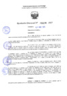 Vista preliminar de documento RD 1196-2025 NX