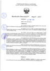 Vista preliminar de documento RD 1197-2025 NX