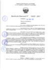 Vista preliminar de documento RD 1207-2025 NX