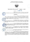 Vista preliminar de documento RD 1210-2025 NX