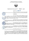 Vista preliminar de documento RD 1212-2025 NX
