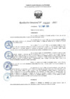 Vista preliminar de documento RD 1229-2025 NX