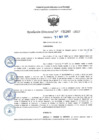 Vista preliminar de documento RD 1243-2025 NX