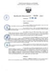 Vista preliminar de documento RD 1250-2025 NX