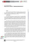 Vista preliminar de documento RU-0209-2025-MIDIS-PNPAIS-UA