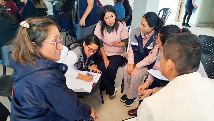DIRIS Lima Sur continúa con reuniones estratégicas para luchar contra la anemia en el distrito de Villa El Salvador