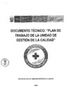 Vista preliminar de documento Plan de Trabajo de la Unidad de Gestión de la Calidad 2025