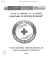 Vista preliminar de documento Plan de Trabajo de la Unidad Funcional de Gestión de Riesgo 2025