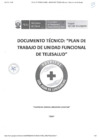 Vista preliminar de documento Plan de Trabajo de la Unidad Funcional de Telesalud 2025