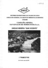 Vista preliminar de documento INFORME DE MONITOREO