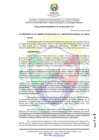 Vista preliminar de documento RP N°132-2025-UNDC