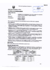 Vista preliminar de documento Resolución Directoral N° 518-2006-MEM_AAM
