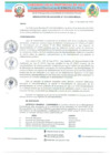 Vista preliminar de documento Resolución de Alcaldía N.° 013-2025-MPA-A