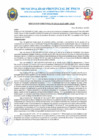 Vista preliminar de documento R.D. Nº 119-2025-MPP-OGAF