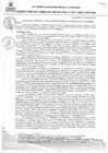 Vista preliminar de documento RGMN217-2025