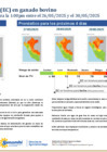 Vista preliminar de documento boletinITH260525