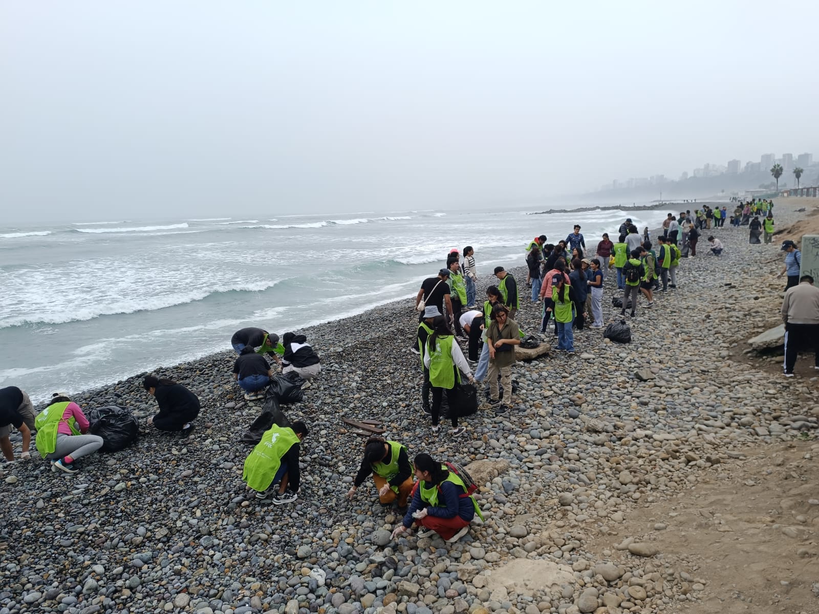 Limpieza de Playas en Barranco
