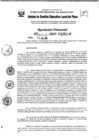 Vista preliminar de documento RD N°001155-2025