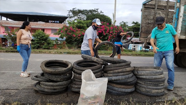 dengue