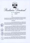 Vista preliminar de documento RD 073-2025-INPE-OGA