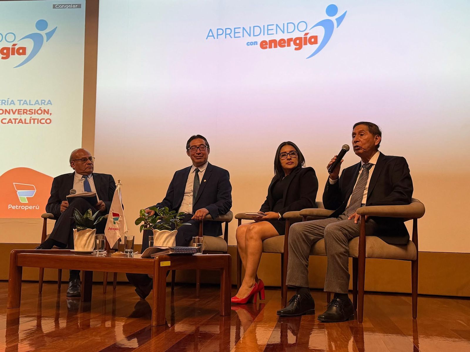 desarrollo del panel