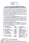 Vista preliminar de documento PRIMERA SESION ORDINARIA CODISEC - 24 DE FEBRERO 2025