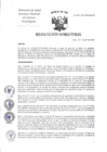 Vista preliminar de documento Resolución Directoral N° 160-2025-INCN-DG-OP