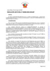 Vista preliminar de documento RESOLUCION JEFATURAL-000060-2025-ANIN-JEF