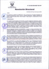 Vista preliminar de documento RD N° 90-2025-DG-INSM "HD-HN"