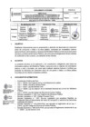 Vista preliminar de documento RFN 1528 DIRECTIVA