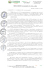 Vista preliminar de documento RESOLUCION DE ALCALDIA Nº067- 2025-A