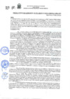 Vista preliminar de documento RESOLUCION DE GERENCIA N°313-2025-GSMGA-MPU