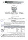 Vista preliminar de documento RESOLUCION JEFATURAL N028-2025-INPE-OIP