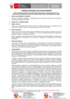 Vista preliminar de documento TDR REQ. 2508