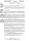 Vista preliminar de documento ORDENANZA MUNICIPAL Nº004-2025-MDL