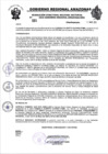Vista preliminar de documento RESOLUCION N°331