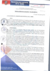 Vista preliminar de documento RA103-2018