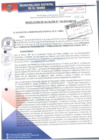 Vista preliminar de documento RA136-2018