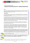 Vista preliminar de documento RESOLUCION DE DIRECCION EJECUTIVA-000955-2025-DE