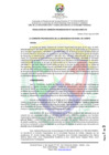 Vista preliminar de documento RCO N° 209-2025