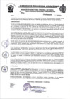 Vista preliminar de documento RESOLUCION N°334