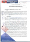 Vista preliminar de documento RA163-2018