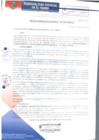 Vista preliminar de documento RA196-2018