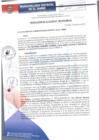Vista preliminar de documento RA199-2018