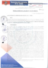 Vista preliminar de documento RA210-2018