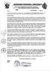 Vista preliminar de documento RESOLUCION N°336