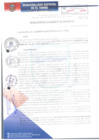 Vista preliminar de documento RA250-2018