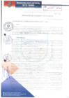 Vista preliminar de documento RA253-2018