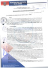 Vista preliminar de documento RA282-2018