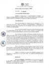 Vista preliminar de documento RES-2025-203-ALC/MSI	